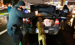 4 gün boyunca uygulanacak! Yüz binlerce polis sokağa iniyor