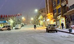 Van-Bahçesaray kara yolunda ulaşıma kar engeli