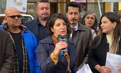 Bursa'da hayvanseverler isyanda