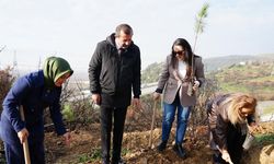 Gürsu’da ekosistemi yeniden ayağa kaldıran adım