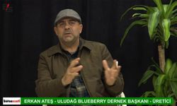 Uludağ Blueberry Derneği: "Türk tarımı çöküyor"