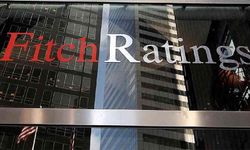 Fitch'ten Grönland uyarısı