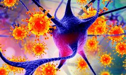 Dünyayı alarma geçiren yeni virüs!