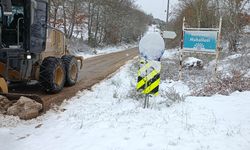 Nilüfer'de kar yağışına karşı kesintisiz mesai