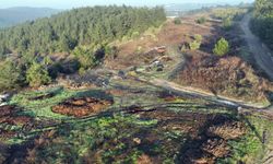 Mudanya için kritik karar!