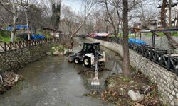 Bursa Büyükşehir'den Misi'de dere ve çevre temizliği