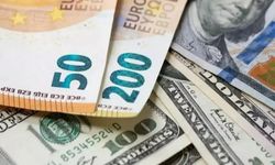 Euro geriledi dolar istikrarlı