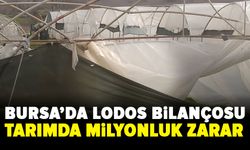 Bursa’da fırtına tarımı vurdu: Zarar milyonları buluyor