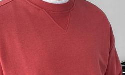 Tişörtlerin yakasındaki üçgenin ne işe yaradığını biliyor musunuz?