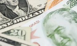 29 Ocak sabahı döviz kurları ne durumda?