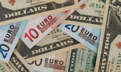 Dövizde dalgalanma devam ediyor