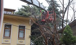 Bursa Büyükşehir ekipleri, şiddetli rüzgara karşı sahada