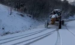 Bursa Büyükşehir'den karla mücadele
