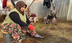 Kurulan her meyve bahçesinde "Bursa" imzası var