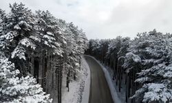 Beyaz örtüyle Uludağ'ın virajları görsel şölene dönüştü