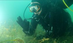 Marmara Denizi'ne kıyı kentlerin Belediye Başkanlarına dalış çağrı