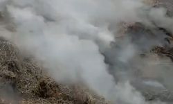 Adana'da samanlık yangını kontrol altına alındı