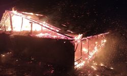 Adana'da yangın: Ev ve ahır küle döndü