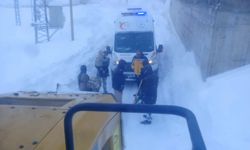 Ağrı'da köylerde rahatsızlanan hastalar için ekipler seferber oldu