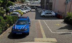 Alaplı'da uyuşturucu operasyonunda 1 tutuklama