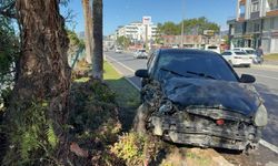 Antalya'da otomobil refüjdeki ağaca çarptı: 2 yaralı