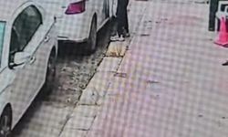 Araç faresi yakalandı