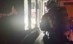 Aydın'da ev yangını panikletti