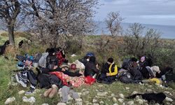 Ayvacık'ta 39 kaçak göçmen ile 1 göçmen kaçakçısı şüphelisi yakalandı