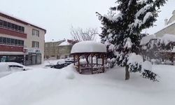 Başçiftlik kar altında kaldı