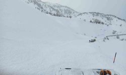 Bingöl'de yola düşen çığ ekipler tarafından temizlendi