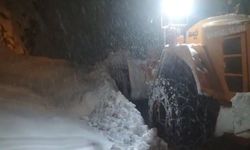 Bitlis-Hizan karayolunda çığ: Ulaşım kontrollü olarak sağlanıyor