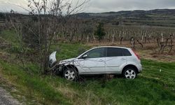 Buldan'da aynı yolda ikinci kaza, otomobil üzüm bağına uçtu