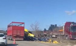 Burdur'da limon yükü tır şarampole devrildi