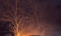 Bursa'da kontrolden çıkan otomobil önce ağaca çarptı sonra alev aldı