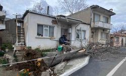 Çanakkale'de lodos fırtınasında devrilen ağaç evin çatısına zarar verdi