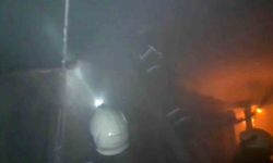 Çatı katındaki odunlukta çıkan yangında 40 güvercin telef oldu