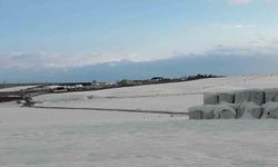 Diyarbakır'da 12 fabrikanın çatısı çöktü