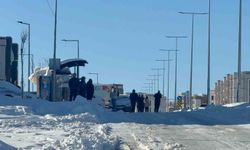 Diyarbakır'da kar çilesi devam ediyor