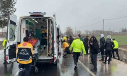 Diyarbakır'da otomobil yoldan çıktı: 2 yaralı