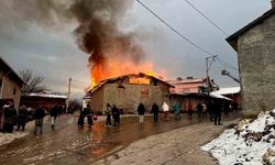 Domaniç'te ahır yangını korkuttu