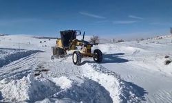 Elazığ'da kapalı köy yollarında çalışmalar sürüyor