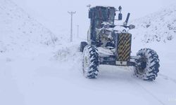 Elazığ'da kar etkili oldu: 482 köy yolu ulaşıma kapandı