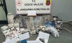 Evinin çatısına kenevir bahçesi kuran 1 şahıs yakalandı