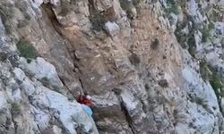 Fethiye'de kayalıklarda mahsur kalan keçi kurtarıldı