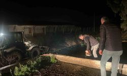 Fırtına mezarlıkta ağaçları devirdi, belediye ekipleri anında müdahale etti