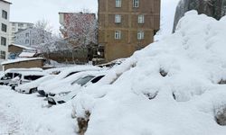 Hakkari'de 223 yerleşim yerinin yolu ulaşıma kapandı