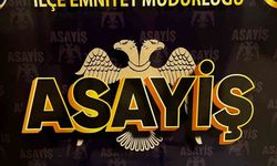 Hatay'da Asayiş Operasyonu: Ruhsatsız Silah Ele Geçirildi