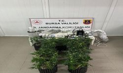 Bursa'da evde esrar üretim düzeneği ele geçirildi