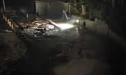 İskelede bir işçinin hayatını kaybettiği kazada firma sahibi tutuklandı