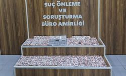 İzmir'de 2 bin 226 uyuşturucu hap ele geçirildi